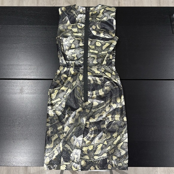 Lanvin Alber Elbaz 2012 Python Snake Sheen Sheath Silk Runway Dress - Size 38 - Picture 9 of 16